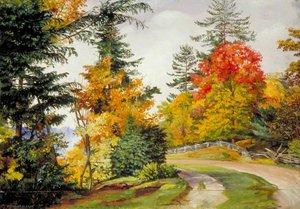 Autumn Tints Near Niagara, United States — Marianne North