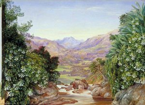 View From The Top Of The Waterfall At Ramboddy, Ceylon — Marianne North