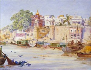 Nepalese Temple And Peepul Tree With Blue Pigeons Bathing, Benares, India — Marianne North
