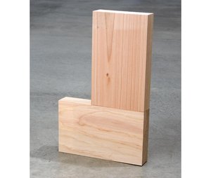 Douglas Fir Stacked El — Carl Andre