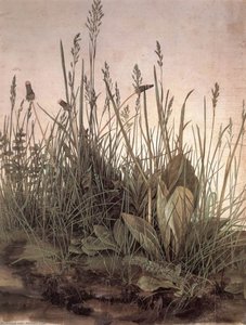 The Large Turf — Albrecht Dürer, Northern Renaissance