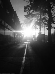 At sunset