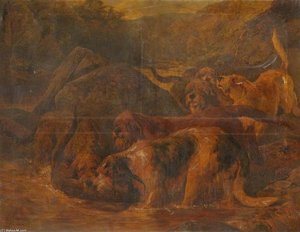 Death Of The Otter