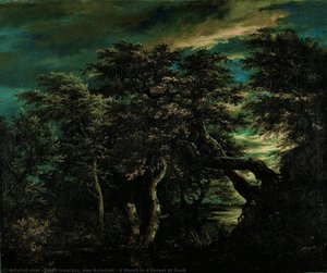 A Marsh In A Forest At Dusk — Jacob Isaackszoon Van Ruisdael, Baroque