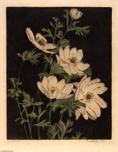 Anemones