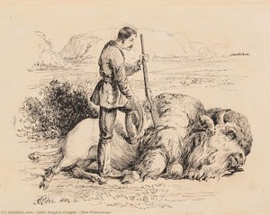 The Plainsman — John Rogers Chapin