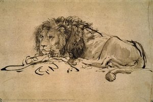 Lion Resting, Rijksprentenkabinet, Amster — Rembrandt Van Rijn, Baroque