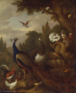 Peacock, Peahen, Parrots, Canary, And Other Birds In A Park — Jakab Bogdány