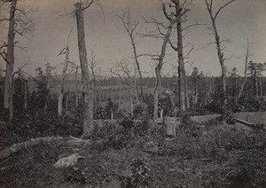 The Battle Ground Of Resaca, No. 3 From The Album Photographic Views Of Sherman's Campaign — George Grey Barnard