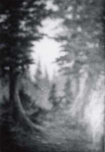 Autumn Woods, (painting)