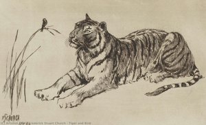 Tiger And Bird — Frederick Stuart Church
