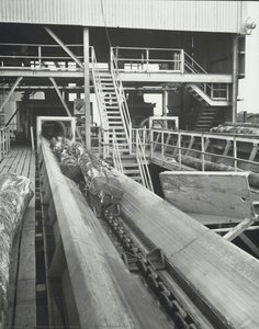 Webuye Pan African Paper Mill — Mohamed Amin