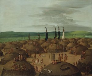 Bird — George Catlin