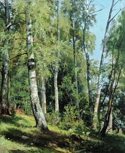 Birch Grove — Ivan Ivanovich Shishkin, Realism