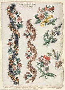 Floral Designs And Floral Bands — Giacomo Cavenezia (italian)