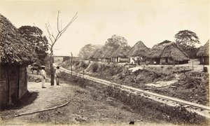 Suburbs Of Panama — Eadweard J Muybridge