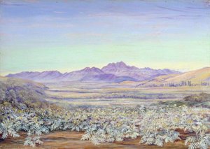 View Of The Bell Mountain Of Quillota, Chili, With Colonised Cardoons In The Foreground — Marianne North