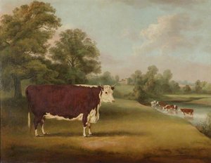 Hereford Cow Near Cronkhill Farmhouse, 1858 — William Henry Davis