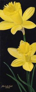 Daffodils