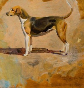 Study Of A Foxhound, 'pytchley' — Sir Alfred James Munnings, Impressionism