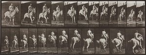 Animal Locomotion, Plate 646