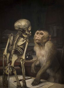 Monkey in front of a Skeleton