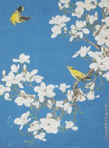 yu fei'an