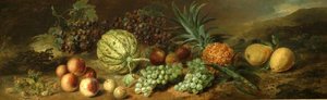 Still Life With Pineapple And Other Fruit — Stephen Elmer