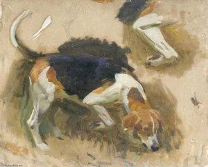 A Study Of A Hound (recto) — Sir Alfred James Munnings