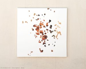 Nima — Amin Aghaei