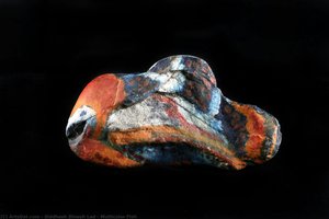 Multicolor Fish — Siddhesh Dinesh Lad