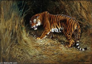 A Prowling Tiger — William Arnold Woodhouse