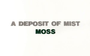 Six Landscapes (Moss) (right section)