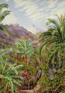 View Of The Peak From The Bridge Of Icod, Teneriffe — Marianne North