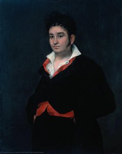 Don Ramón Satué — Francisco José De Goya Y Lucientes, Romanticism