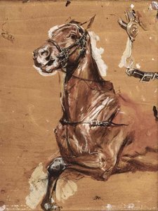 A Study Of A Bridled Horse — Jean-louis Ernest Meissonier