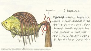 Fish from "Codex Seraphinianus"