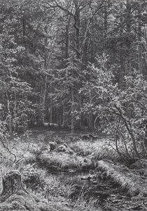 Forest Swamp — Ivan Ivanovich Shishkin