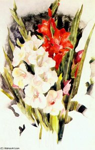 Gladiolus — Charles Demuth