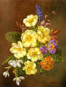 cecil kennedy