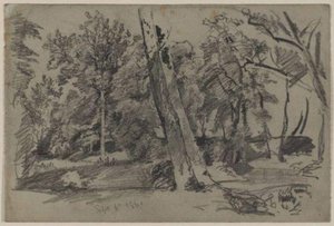 Trees In The Woods — William Trost Richards