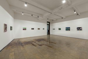 Installation Shot — Andrea Joyce Heimer