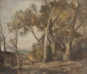A Composition Of Forest Trees — Oliver Hall