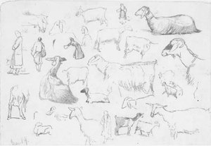Studies Of Sheep And Herdsmen — Edward Lear