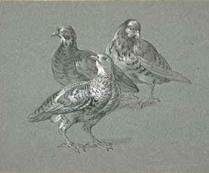 Trois Perdrix — Jean-baptiste Oudry, Baroque