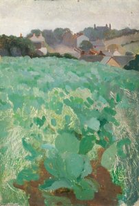 Devon — Benjamin Haughton