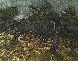 The Olive Grove — Vincent Willem Van Gogh