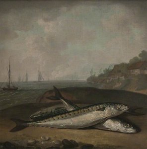 Mackerel on a Dorset Shore with the Golden Cap (near Bridport) in the Background ( )