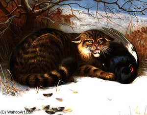 Wildcat Thorburn — Archibald Thorburn