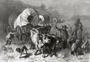 Emigration To The Western Country